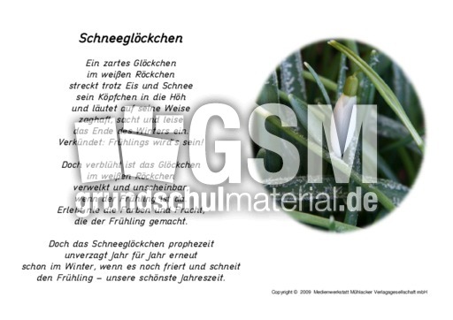 Schneeglöckchen-Gedicht-Foto.pdf